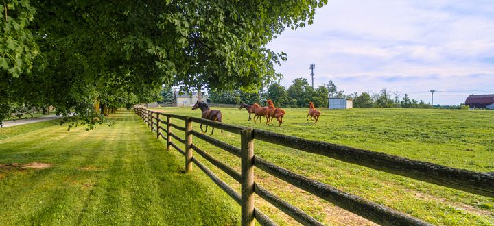 Equestrian property